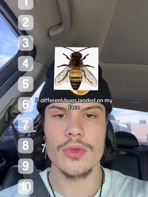 A post by @zayfoh on TikTok caption: I love BUGS 🤣 #theboys #fypツ #xybca #zayfoh 