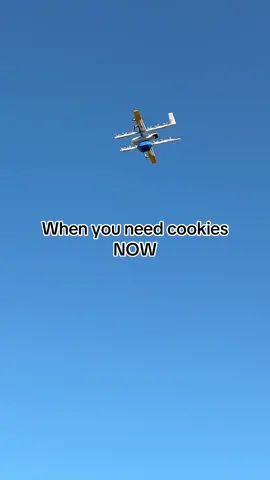 A post by @kylephillipsfun on TikTok caption: My parents tried the new Walmart drone delivery. Pretty cool! 