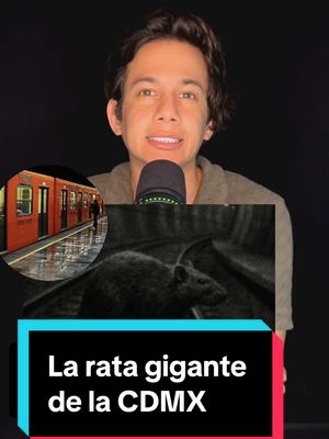 A post by @carlos_name on TikTok caption: El misterio de la rata gigante del metro de la CDMX es una leyenda de las más escalofriantes que hay en la ciudad… muchos aseguran haberla visto, tú la has visto? #miedo 