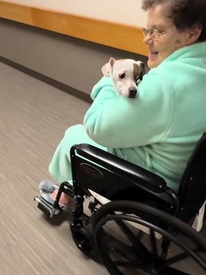 A post by @melissaksims on TikTok caption: #nelly #ridewithme #jrt #fypシ゚viral #fyp #puddinjack #jackrussell #lovergirl #nursinghome 