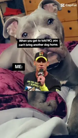 A post by @_suzzyq_ on TikTok caption: And we'll live happily ever after. 😆. @John Cena  #Meme #MemeCut #CapCut #johncena #wwe #SuzzyQ 