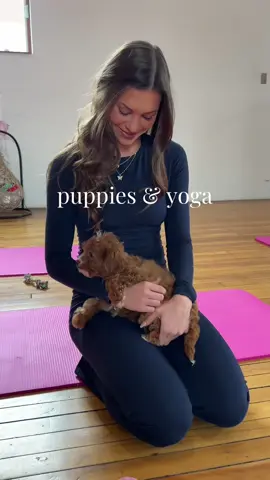 A post by @lil_celery on TikTok caption: such a fun way to spend the morning🥹🫶🏼 @Puppies & Yoga US i wish i could do this everday 🩷 #puppyyoga #pittsburgh
