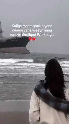 A post by @naimagure on TikTok