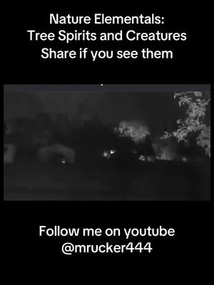 A post by @divinepisces444 on TikTok caption: #gnomes #fairy #creatures #imp #interdimensional #fyp 