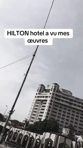 A post by @sheck.body on TikTok caption: Hotel hilton reçois dTHE BLACK ZEUS #artist #tableau #sheckbody 