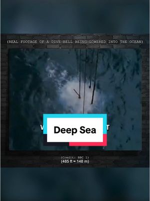 A post by @mrballen on TikTok caption: Deep Sea