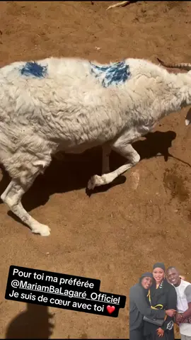 A post by @farignoumamounass on TikTok caption: @Mariam Ba Lagaré_Officiel 