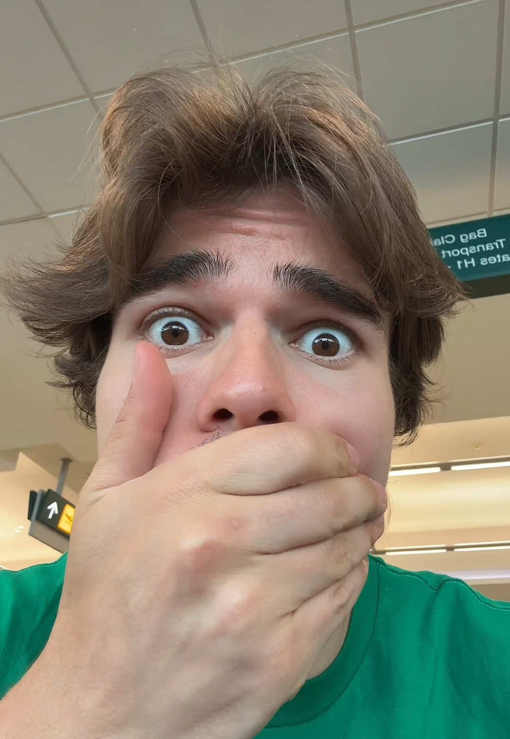 A post by @imnotniksalad on TikTok caption: sigh