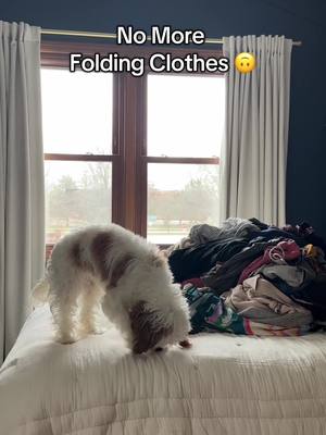 A post by @kellybaums on TikTok caption: If you’re wondering, “WHAT ABOUT WRINKLES?!” My solution: keeping a steamer set up at all times. I just steam the clothes the day I wear them :)  What else do you want to know?! #adhd #adhdcheck #adhdtips #adhdprobs #adhdawareness #adhdlaundry 