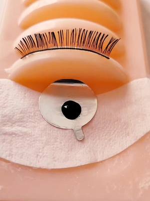 A post by @lashviewshop on TikTok caption: #lashextensions #eyelashes #eyelashglue #diylashes 