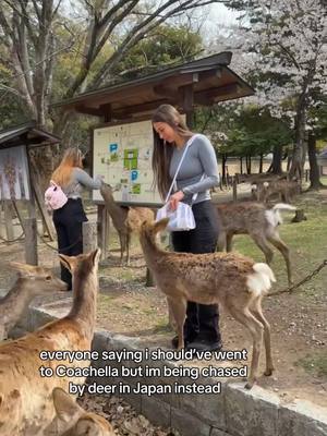 A post by @sophieraiin on TikTok caption: they kept biting me to feed them 😭