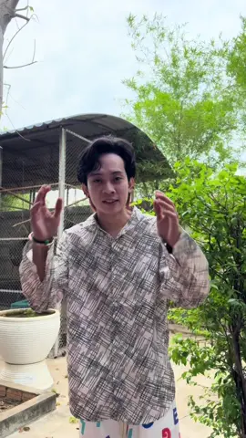 A post by @limtichmengofficail on TikTok caption: សត្វព្រៃស្អាតៗណាស់ ❤️❤️❤️