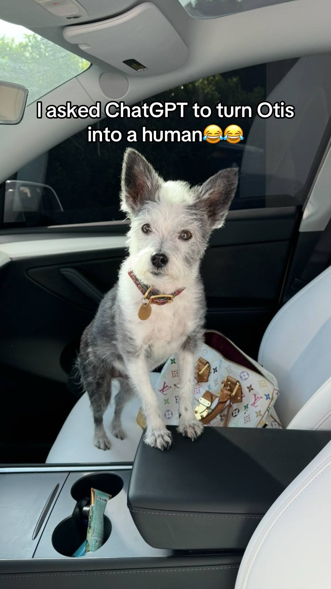 A post by @skaijackson on TikTok caption: Yall see it?😭 not he has the vintage LV bag. Period Otis 