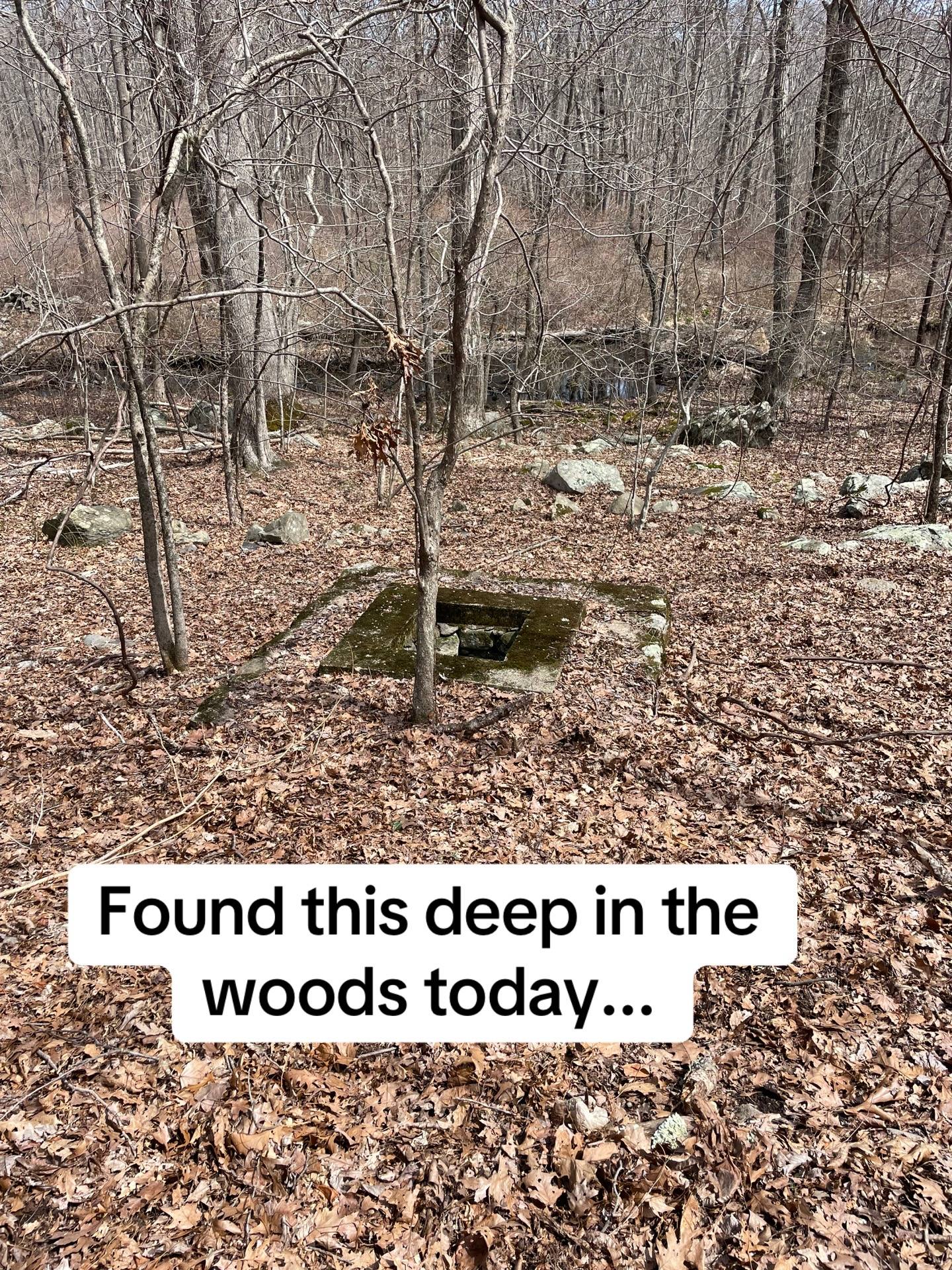 A post by @tokstar696969 on TikTok caption: Found this on an old homesite today- I think from 1700's - let me know how old you think it is #mystery #historic #ruins #history #woods #newengland #scary #archeology #indiana #jones 