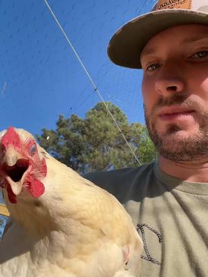 A post by @matt_mathews on TikTok caption: From playing sold out shows to cleaning chicken butts. #farmchores #chickensoftiktok #fypage 