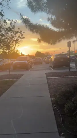 A post by @sarahxalexanderr on TikTok caption: Some clips from my day today (besides class)!!! Literally best Monday everrrr ❤️❤️ Shoutout to all my cutie friends & @Alani Nu Ambassadors @Alani Nutrition 