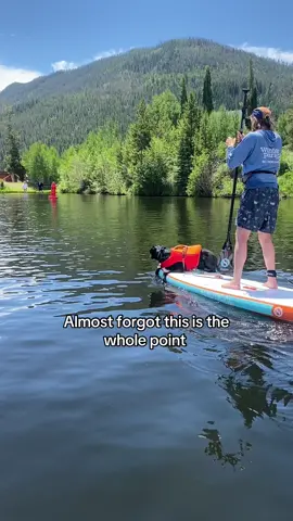 A post by @moxiesadventures on TikTok caption: Especially the part where your dog almost knocks you in the water  #paddleboarding #paddleboardingdog #adventuredog #rockymountains 