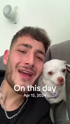 A post by @animal.reunion on TikTok caption: #onthisday 