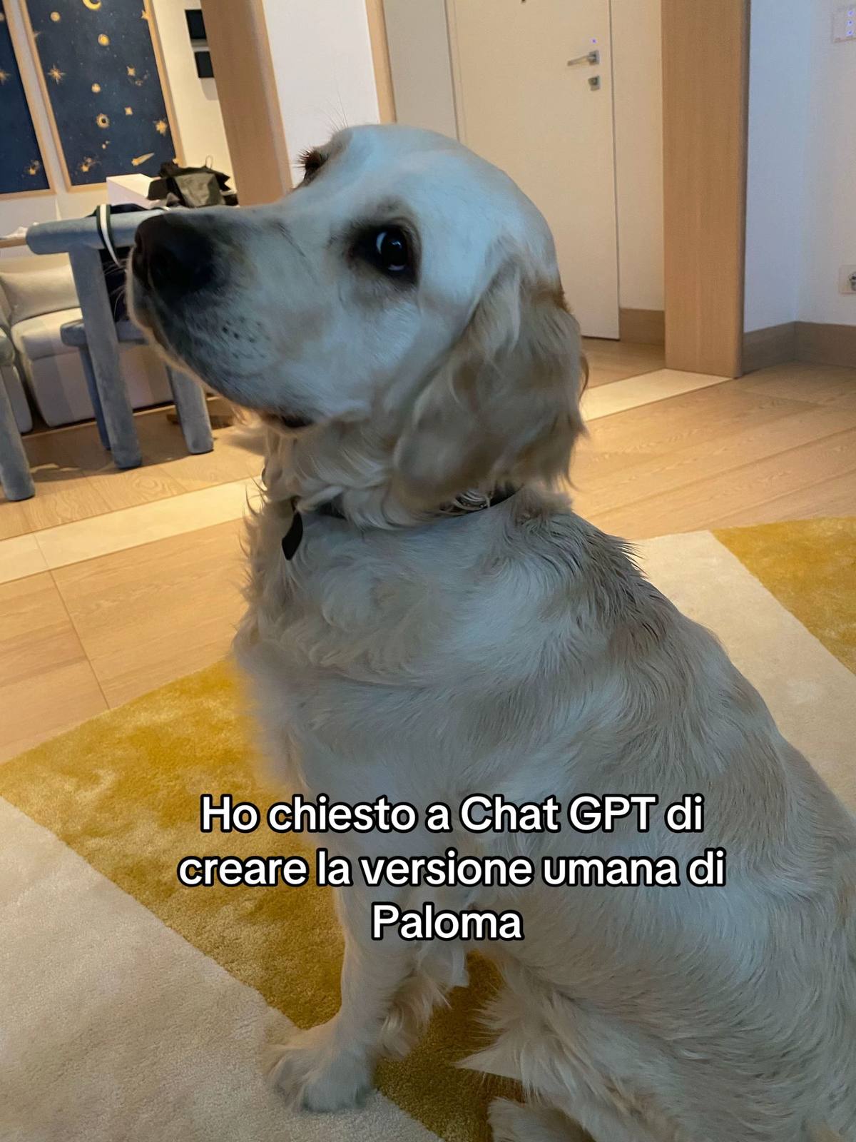 A post by @chiaraferragni on TikTok
