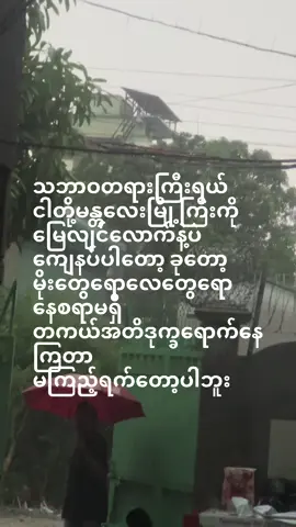 A post by @uminmdy0 on TikTok