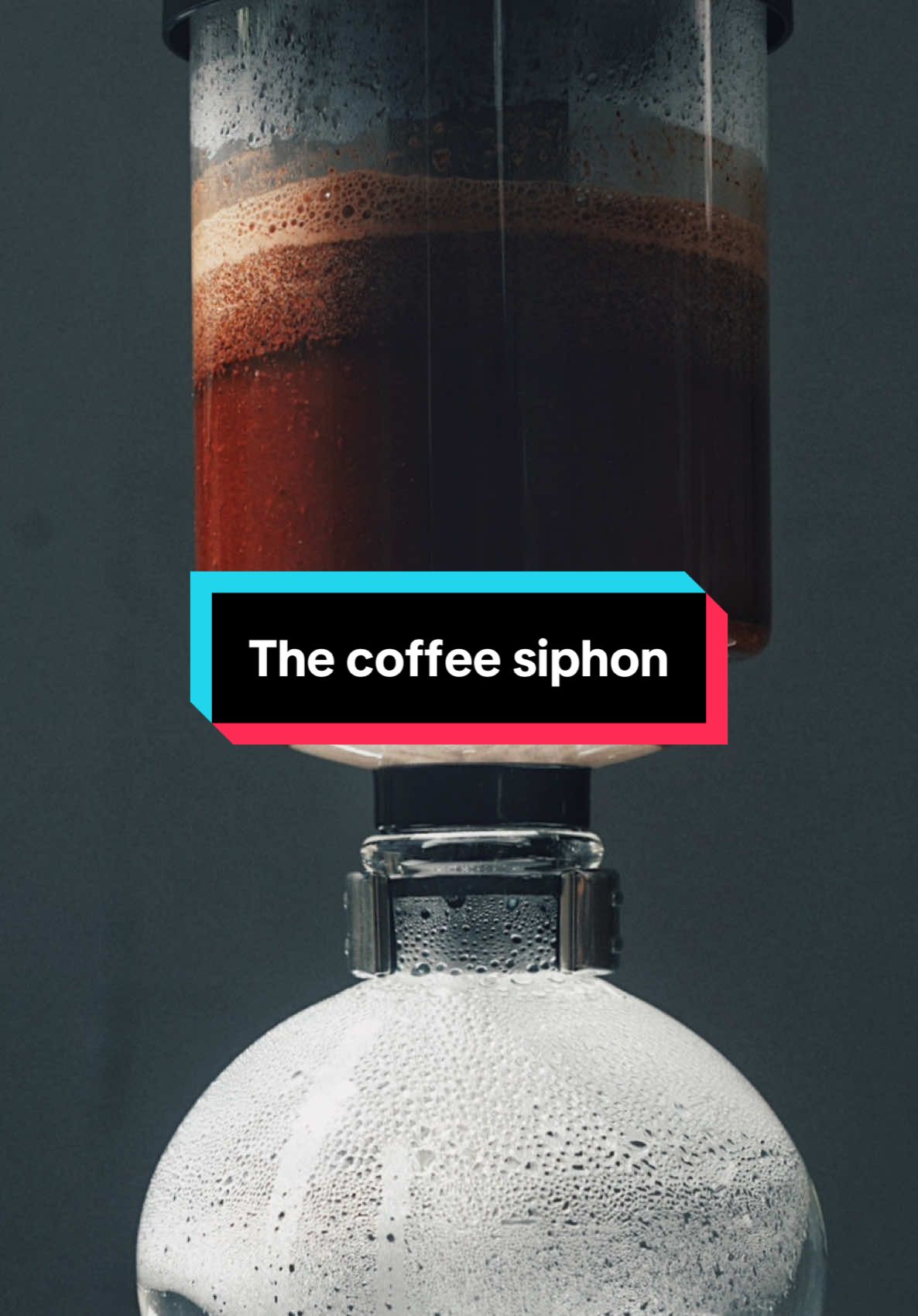 A post by @morgandrinkscoffee on TikTok caption: Whip one of these out after a dinner party for maximum effect #barista #coffee 