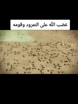 A post by @forgive859 on TikTok