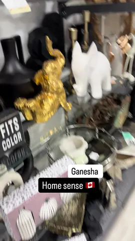 A post by @shivzote on TikTok caption: Ganesha in canada🇨🇦