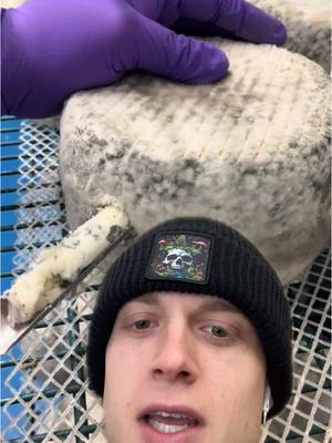 A post by @joe.bartolozzi on TikTok caption: @Yorkshire pecorino it’s a preference end of day