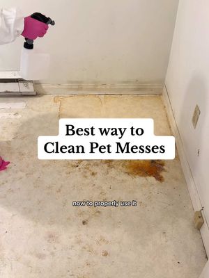 A post by @nottheworstcleaner on TikTok caption: The best cleaning hack for pet owners, bed wetters and dudes who miss the toilet bowl often 🫡✨ #cleantok #cleaninghacks #petmess #catlovers #newpuppy #cleaningtips 