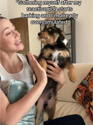 A post by @lilireinhart on TikTok caption: His barking scares the soul out of my body sometimes but it’s okay we love our reactive doggies 😅❤️ 