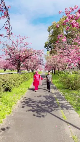 A post by @faroquehossen935 on TikTok caption: #foryou @Porshi 