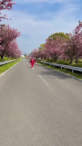 A post by @faroquehossen935 on TikTok caption: #foryou @Sheikh Mira777 