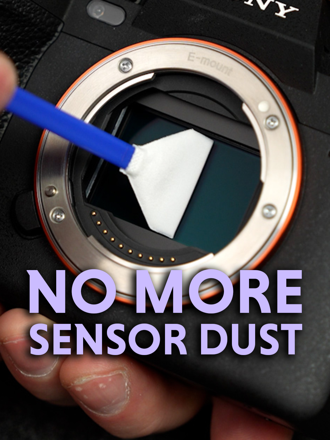 A post by @consumesense on TikTok caption: How to clean a Full Frame Camera Sensor! #amazon #amazonfinds #amazonfinds2025 #K&Fconcept #K&F #photography #DSLR