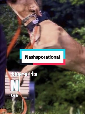 A post by @nashandkash on TikTok caption: don’t know what he’s training for but here for it 💪🏽 😭 #nashandkash #creatorsearchinsights #hopecore 