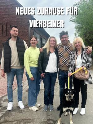 A post by @chico_lottomillionaer on TikTok caption: Menschen zu helfen ist für mich selbstverständlich – ein gutes Herz kennt keine Unterschiede. ❤️ Und Tiere? Die sind für mich genauso besonders. Sie geben uns Liebe, Vertrauen und pure Freude. 🐾 Lasst uns gemeinsam dafür sorgen, dass kein Mensch und kein Tier vergessen wird. #chico #chicolottomillionaer #dortmund #herzfürtiere 