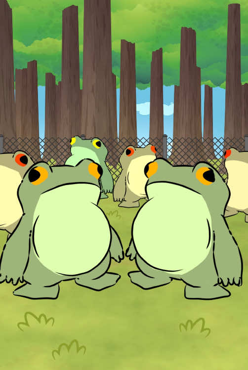 A post by @naturalhabitok on TikTok caption: Fun Fact: Some species of tarantulas keep frogs as “pets” in a mutualistic relationship. The frogs eat insects that would otherwise threaten the tarantulas’ eggs, and in exchange, the tarantulas offer them protection from predators.  🐸🕷️🦮 #naturalhabitok #naturalhabitatshorts #naturalhabitat 
