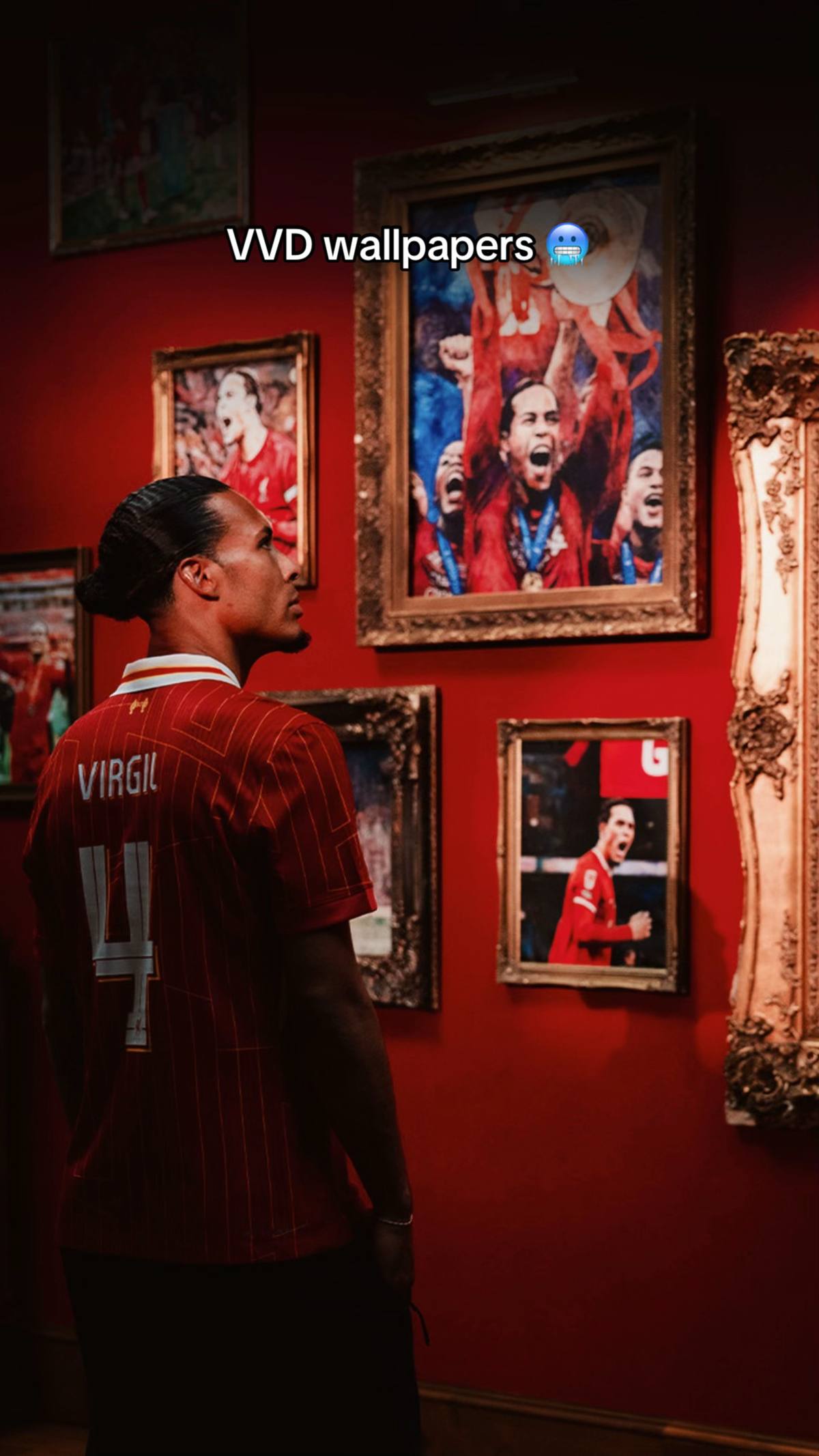 A post by @liverpoolfc on TikTok caption: Which one are you choosing? 📲😍 #VanDijk #LFC #Liverpool 