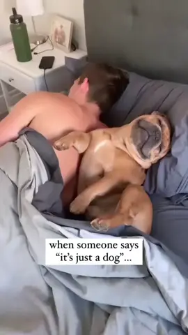 A post by @cutedogsonline on TikTok caption: Funny dogs  🐕 😄 #dog #dogs .