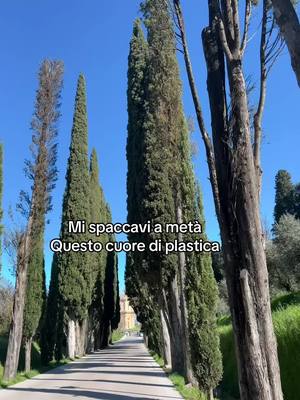 A post by @matteopaolillofficial on TikTok