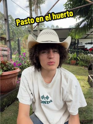 A post by @lagranjadelborrego on TikTok caption: Mi mamá cada 10 días 📉