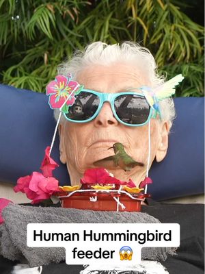 A post by @rosssmith on TikTok caption: National Geographic Granny. I can’t believe she thought they were fake 😂🦜 #hummingbird 