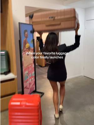 A post by @shaymitchell on TikTok caption: Out now @Beis Travel 