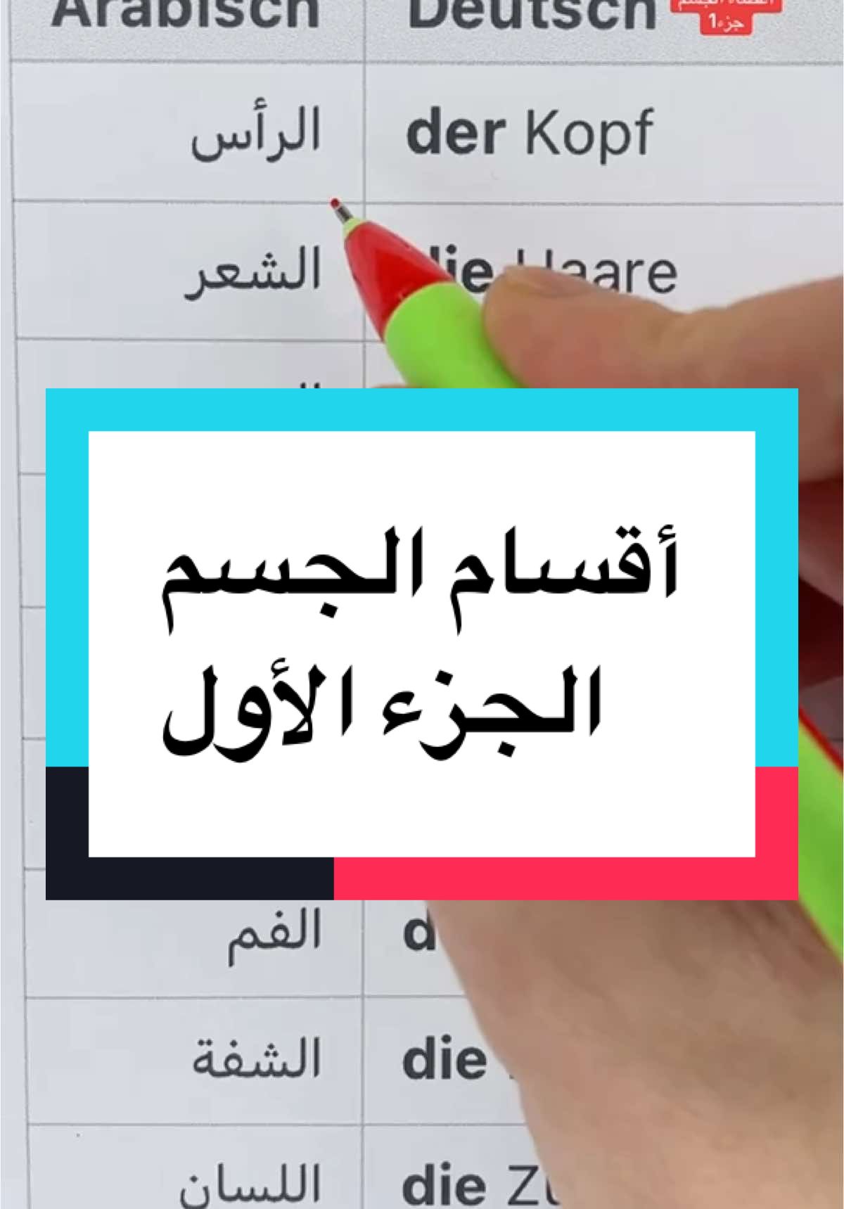 A post by @arabisch.deutsch1 on TikTok caption: أسماء أعضاء الجسم عند الإنسان في اللغة الالمانية الجزء الأول#مصطلحات_المانية #تعليم_اللغة_الالمانية_للمبتدئين_من_الصفر 