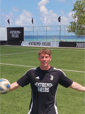 A post by @ben on TikTok caption: Is this the best field in the world?😍 #ExtremeFields 