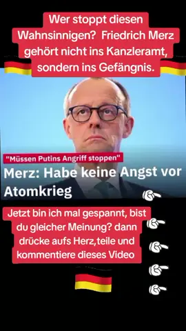 A post by @andiohmsen81 on TikTok caption: #foryou #politics #deutschland #viral_video #germany🇩🇪 #fyp 