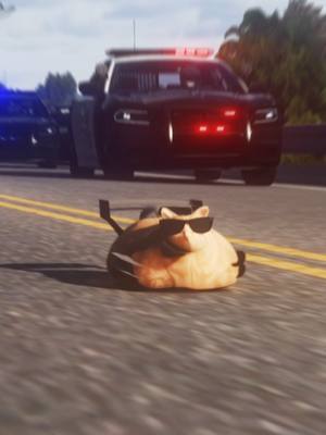 A post by @dmcgar on TikTok caption: My upgrades aren't insured. #meow #pablo #animals #cat #catsoftiktok #fyp #fypシ 