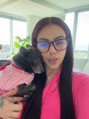 A post by @staceyyrosado on TikTok caption: She did so good 🥹@MetroPetsGroomingNy #fyp #foryou 