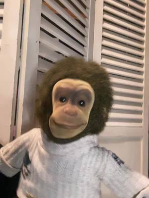 A post by @littlesleepydemons on TikTok