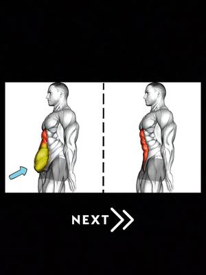 A post by @fitness__tip on TikTok caption: Lower abs workout 
