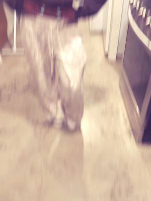 A post by @lifeof_angelei on TikTok caption: #foryoupage #blowthisup #fyp 